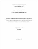 Cover image for Antenatal Care and Delivery Services Utilisation Among Women Aged 15–49 Years in Ada West District, Greater Accra Region, Ghana